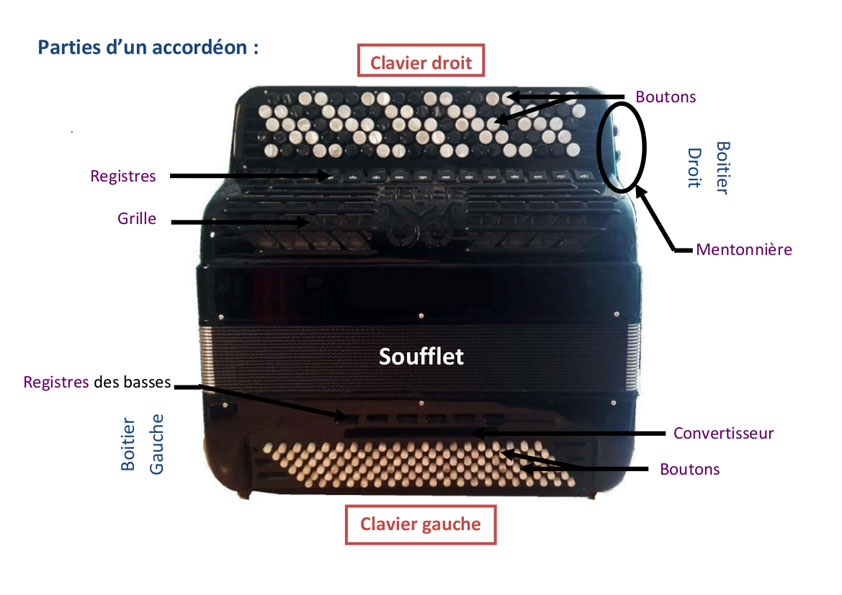 Les différentes parties d'un accordéon - Souffle de l'Accordéon